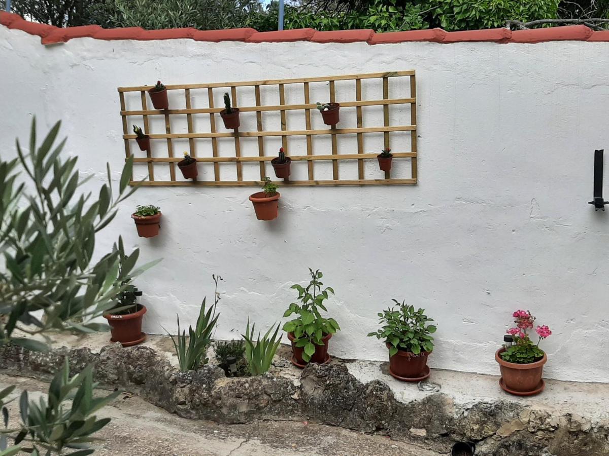 Casa Rural "Eccehomo De Borja" Kültér fotó